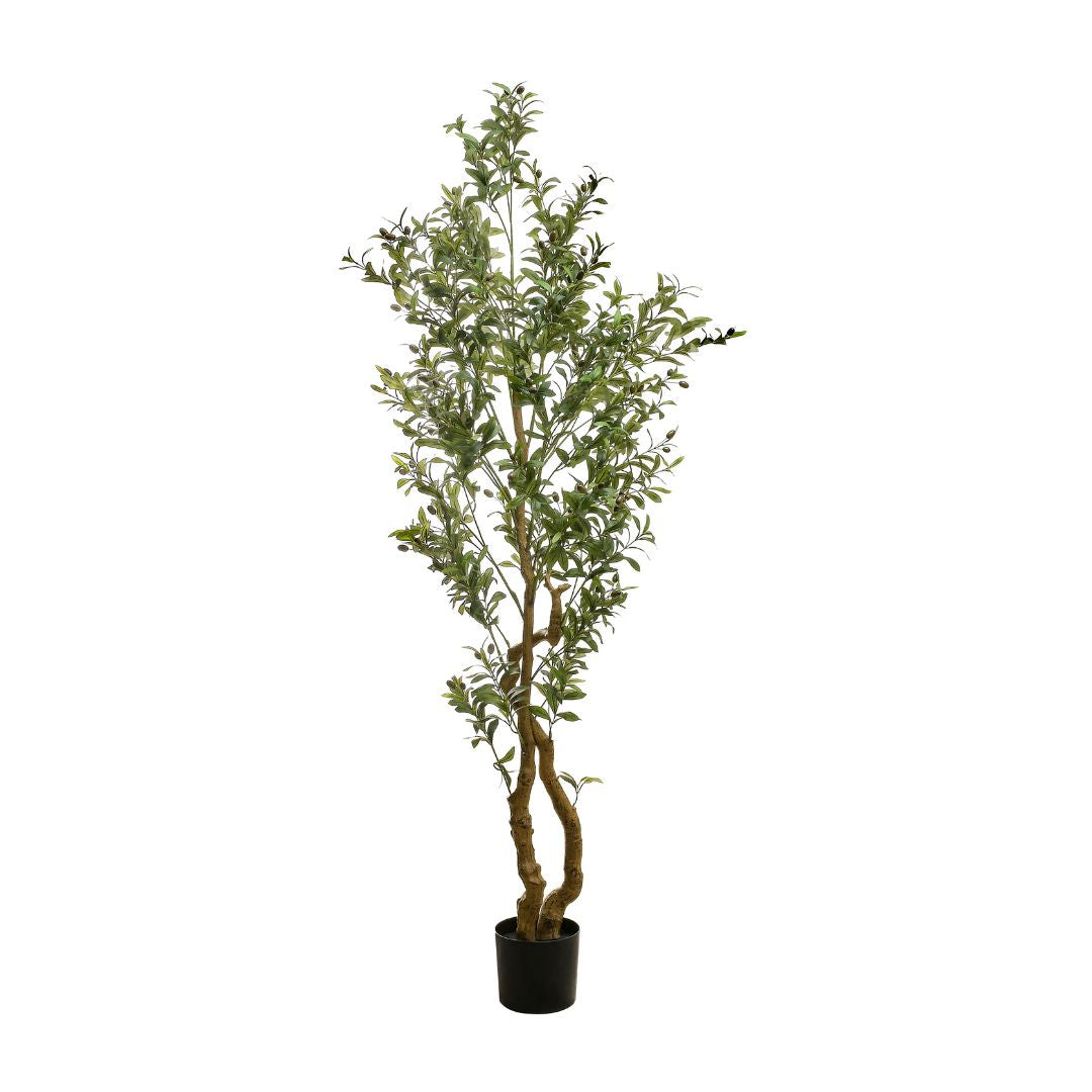 Árbol de Olivo Artificial XL