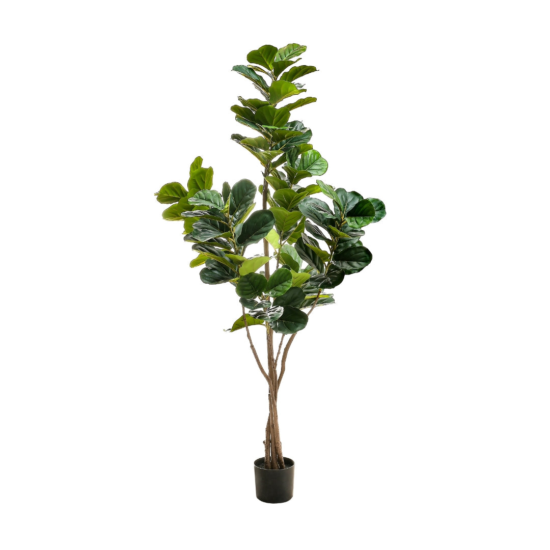Árbol Pandurata Artificial