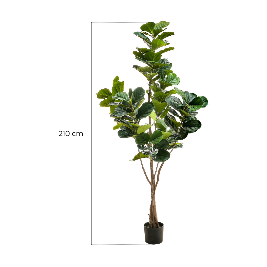Árbol Pandurata Artificial