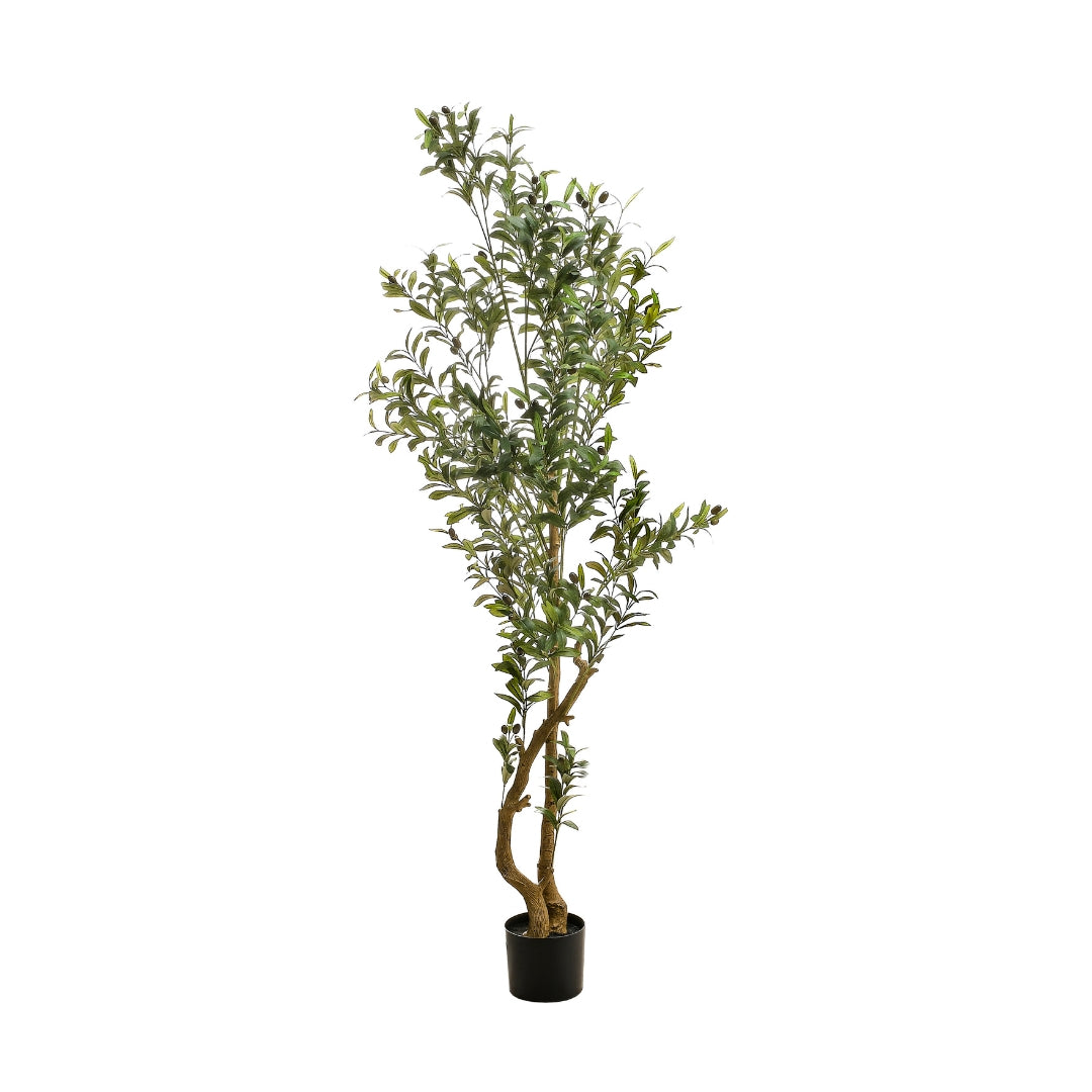 Árbol de Olivo Artificial